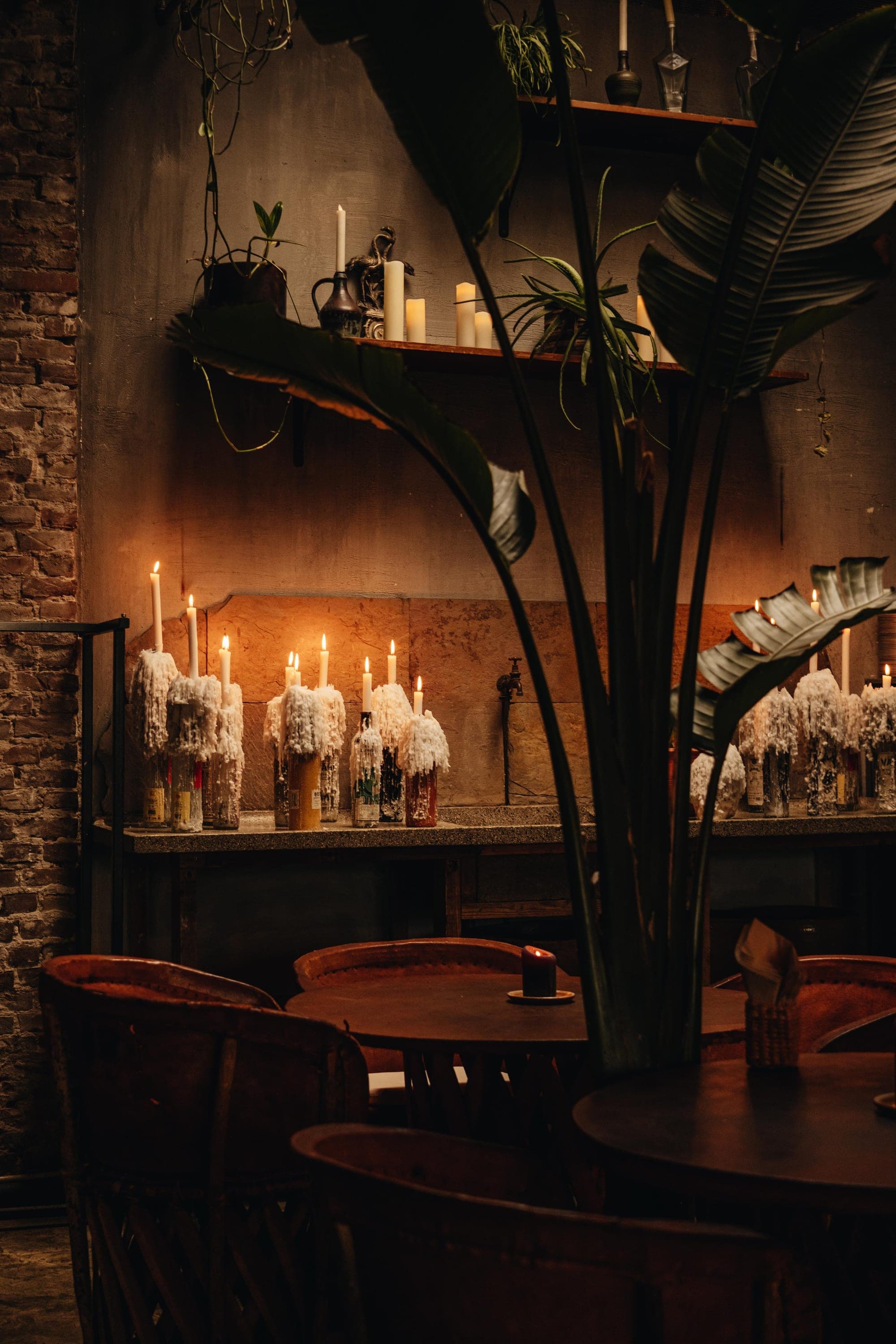 Coba Taqueria, photo 2