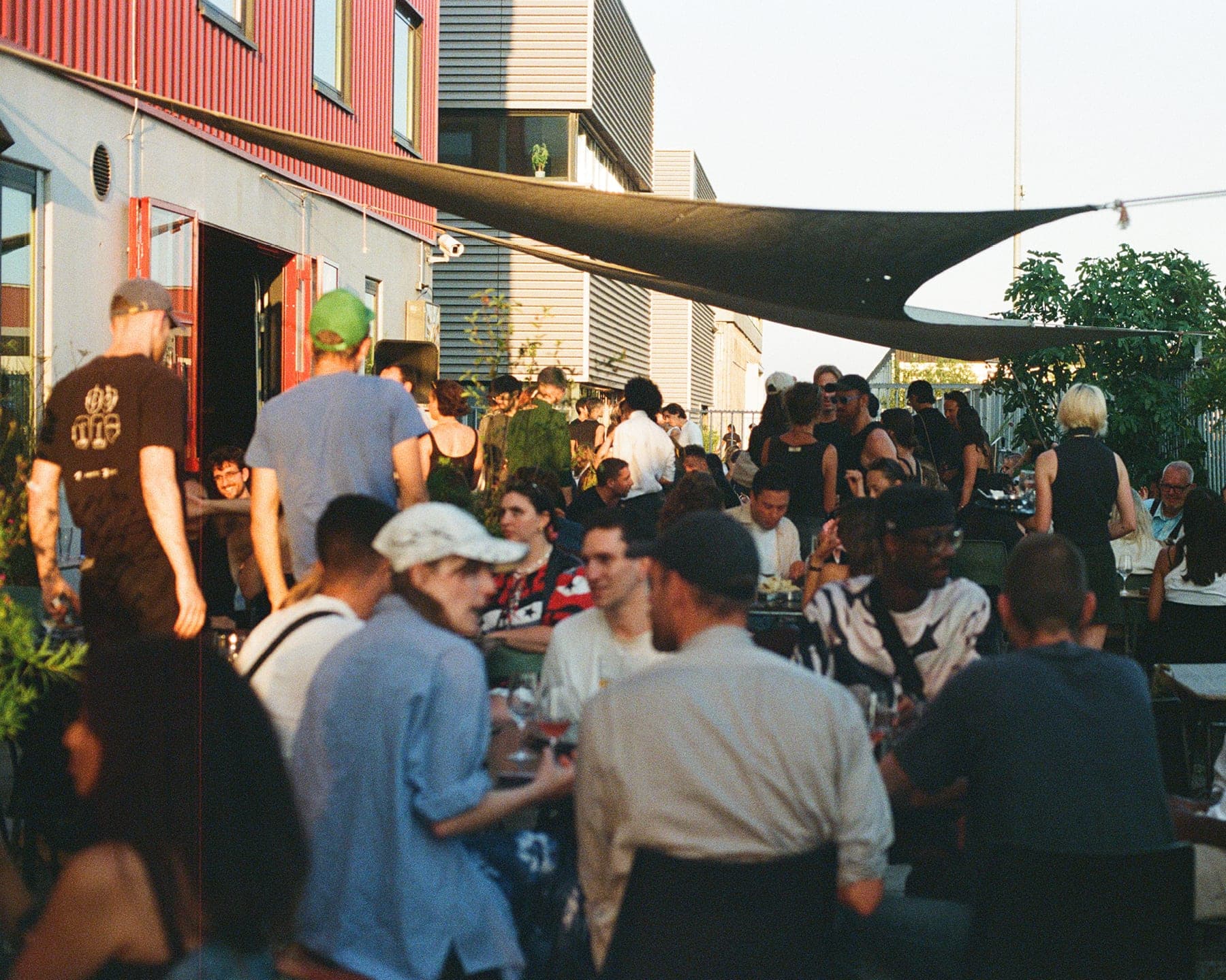 Murmur, 3