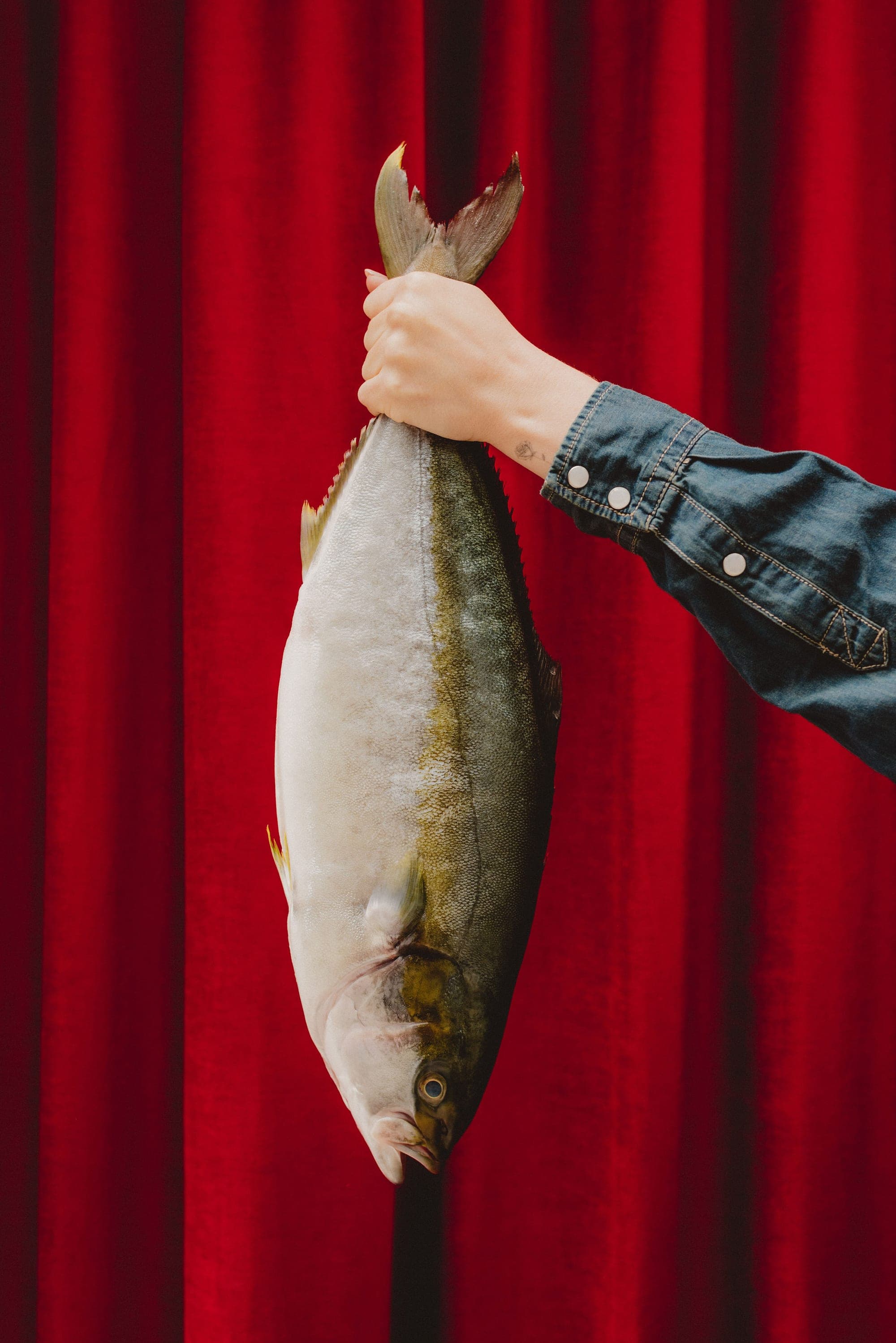 Pesca, photo 2