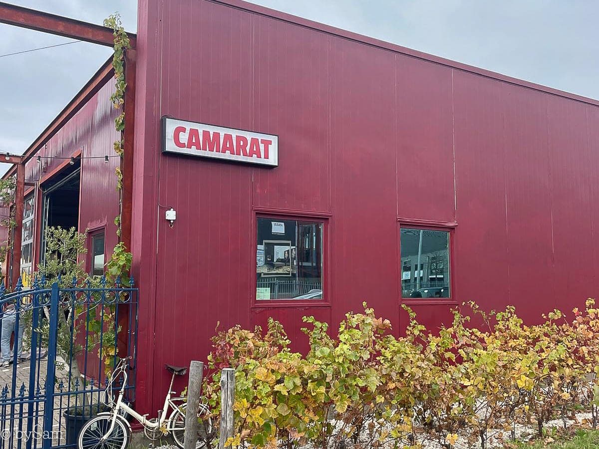 Camarat